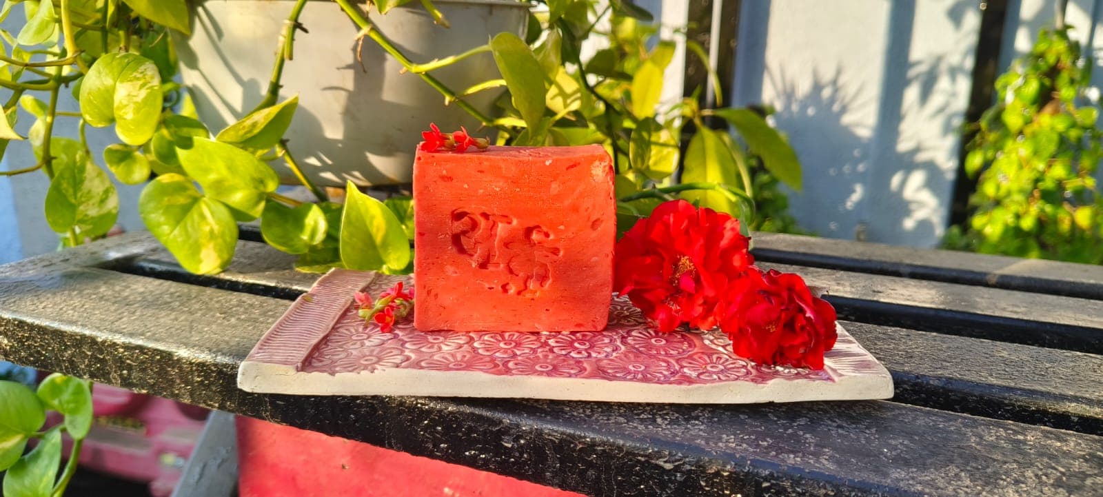 Shea Butter Daily Nourishing Bar